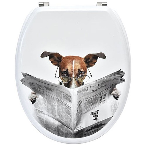 New elongated toilet seat - seat, 18