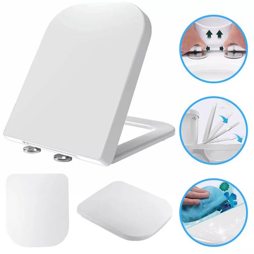 Luxury square toilet - square, seat