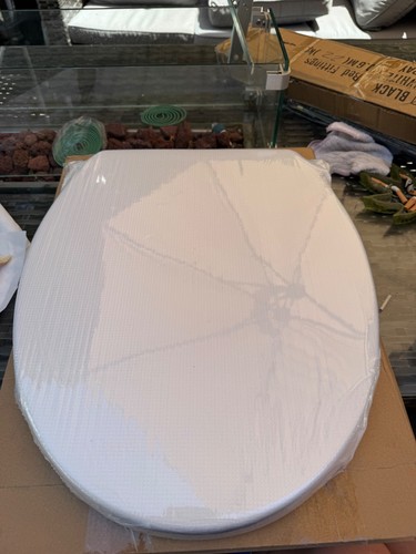 White plastic toilet - , seat