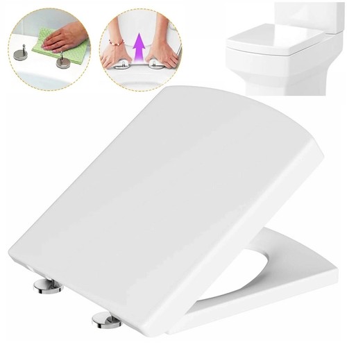 Luxury square toilet - luxury,
