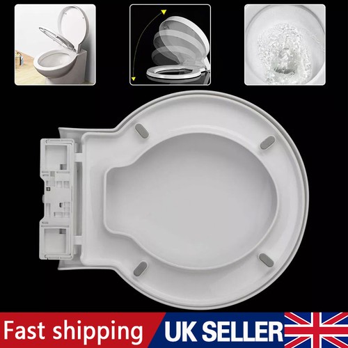 Design toilet seat - design,